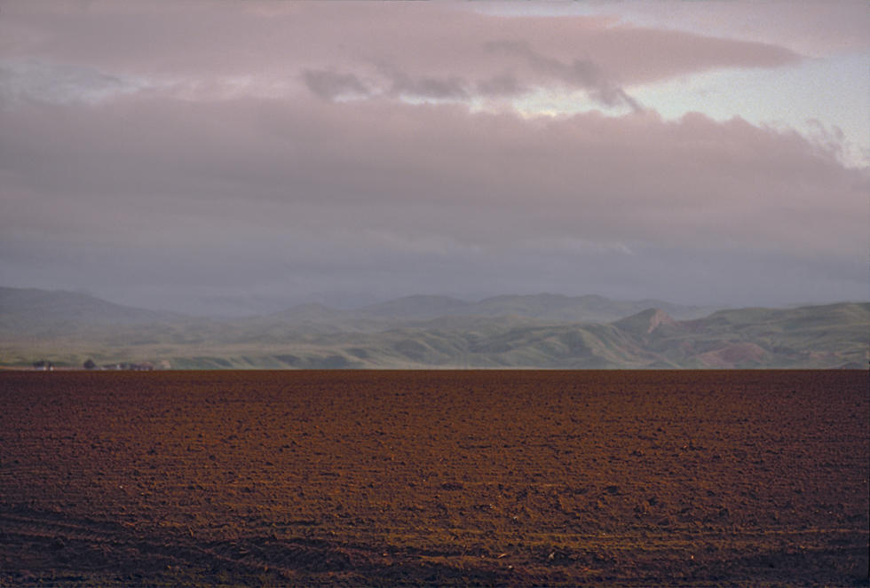 Color Fields, Actual 5