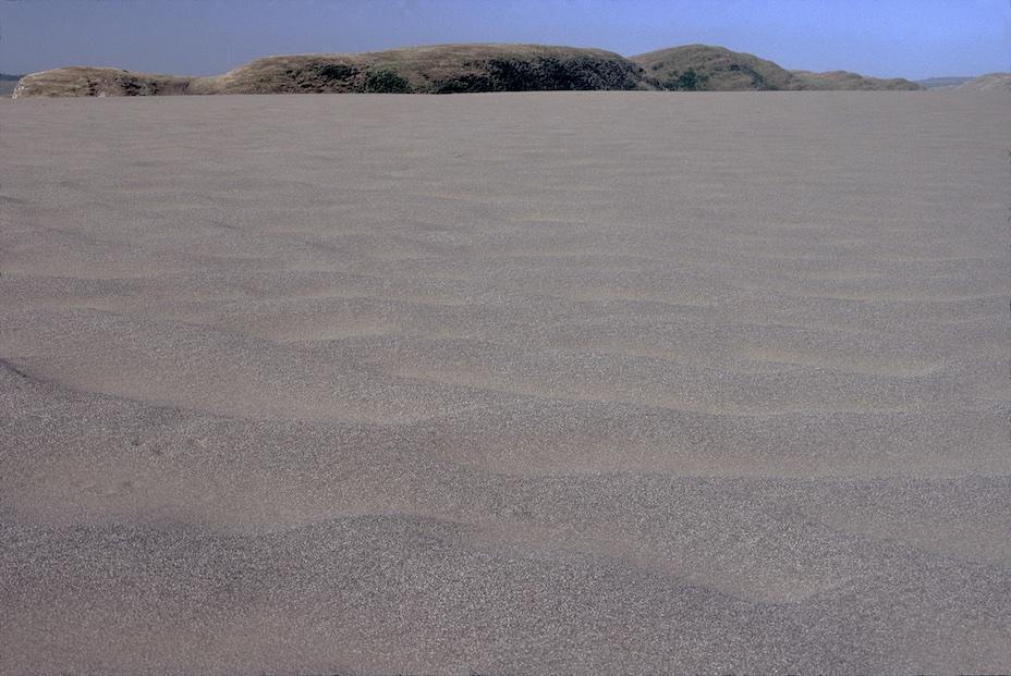 Sand to Sea, Point Reyes
