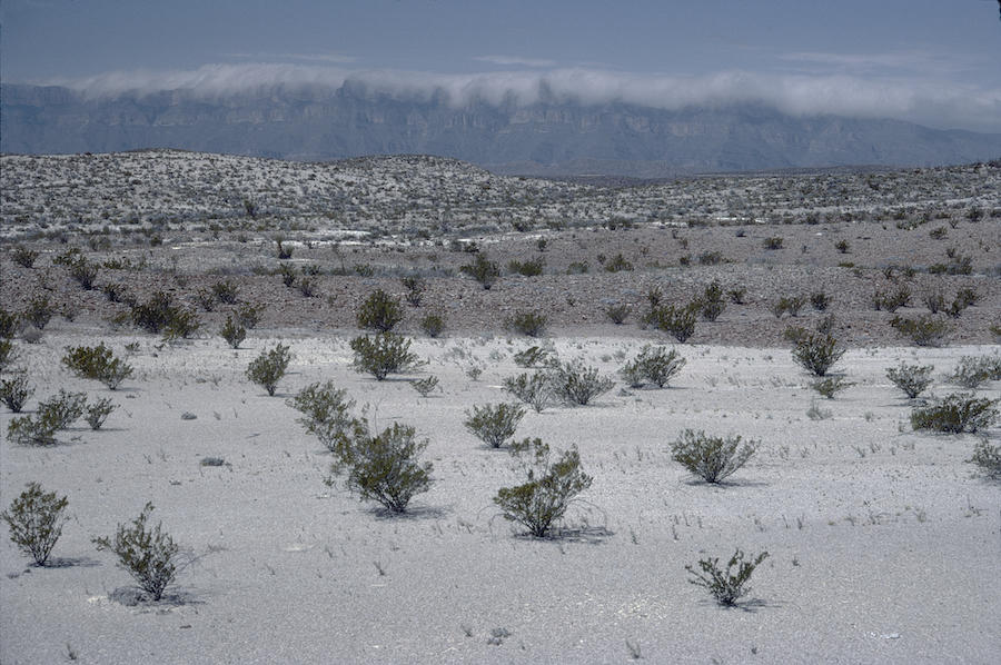 Mexico from Big Bend