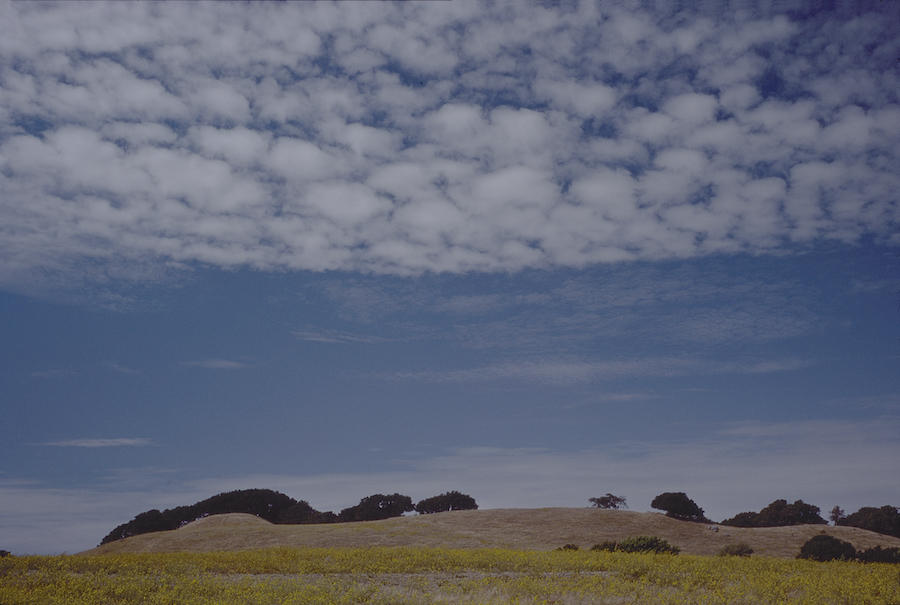 Briones Hills, California