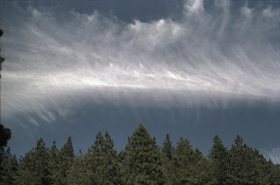 Sky Entanglement