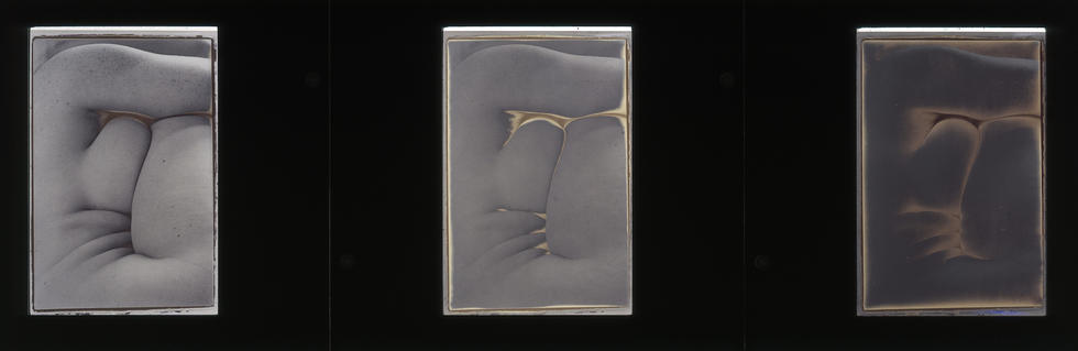 Hatterleys Nudes Triptych