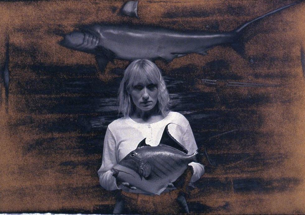 Dream of Fishes