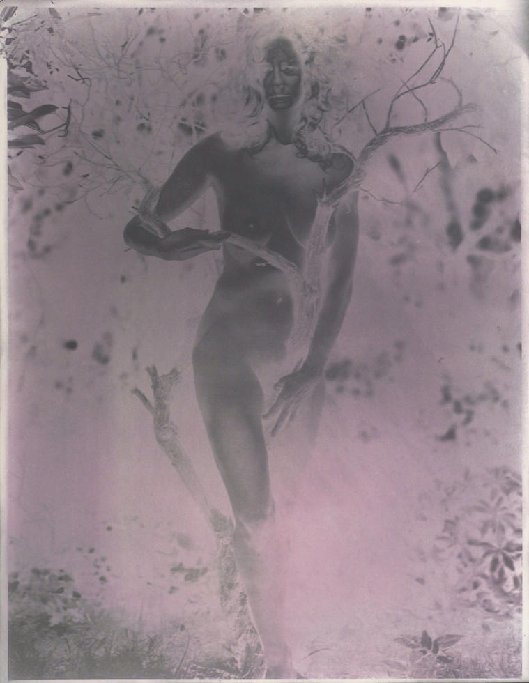 Deconstructing Venus 2