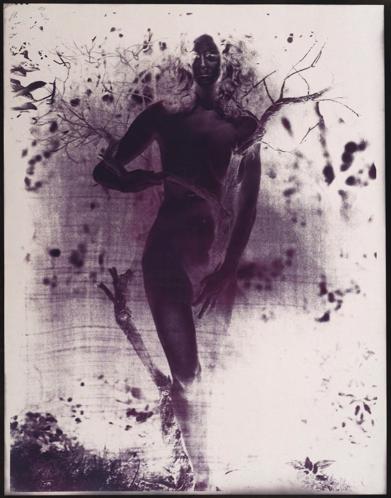 Deconstructing Venus 3