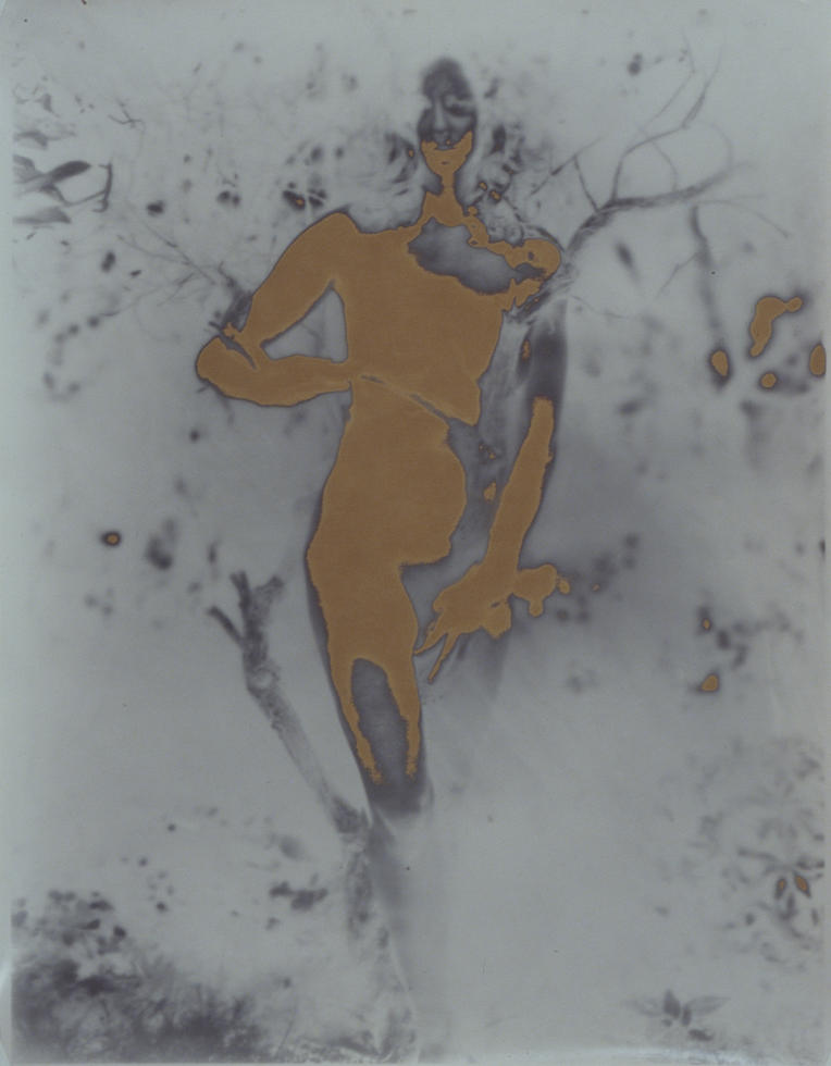 Deconstructing Venus 5