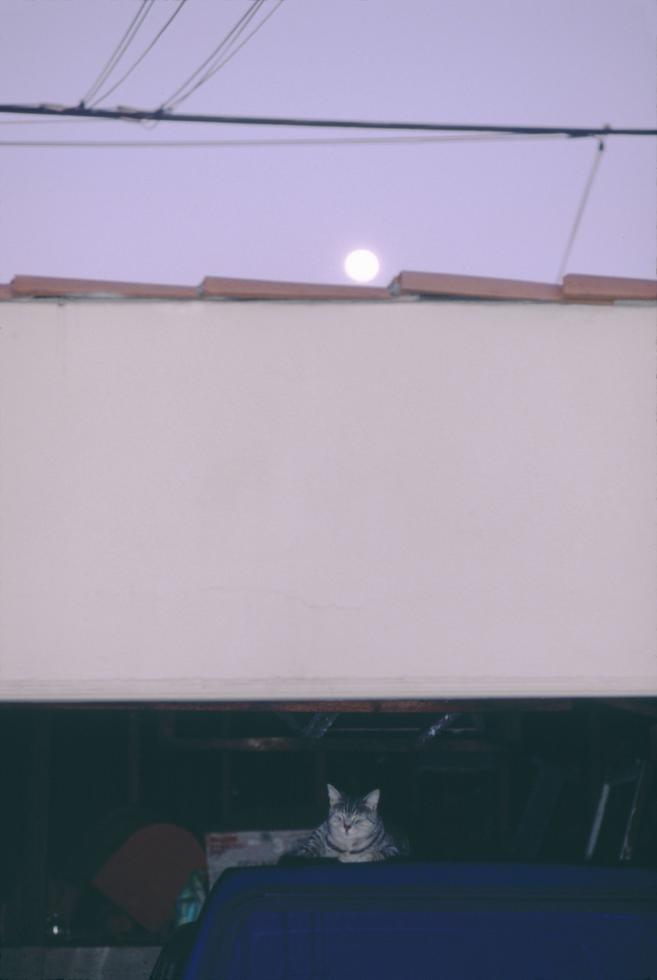 Moonrise LA