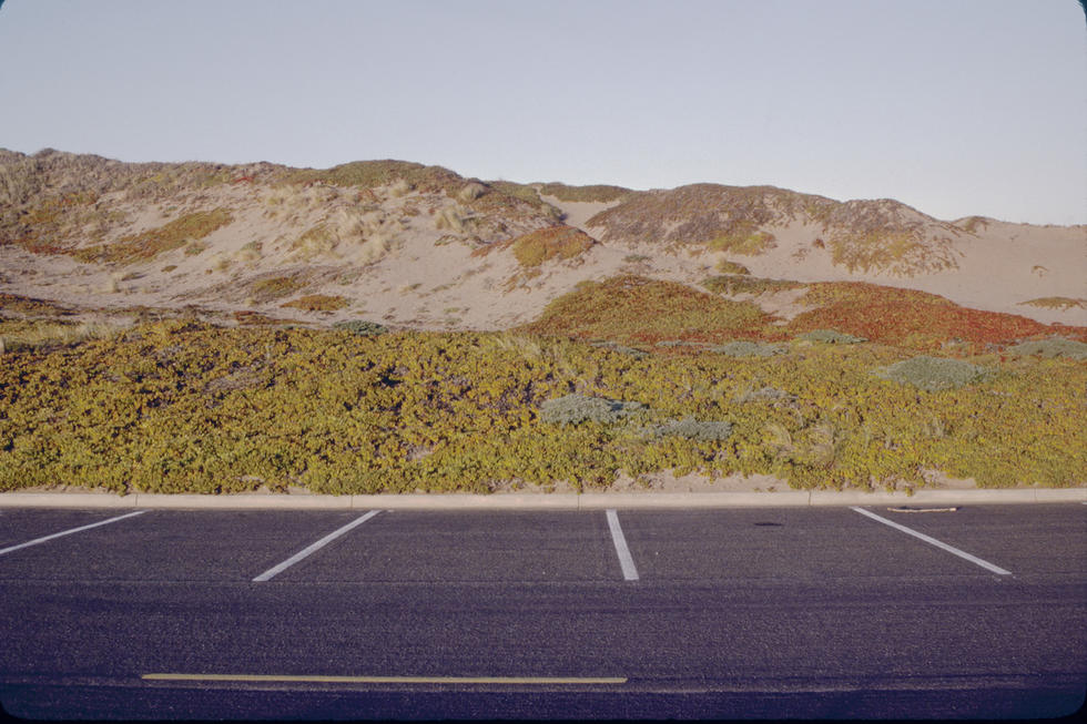 Pt. Reyes