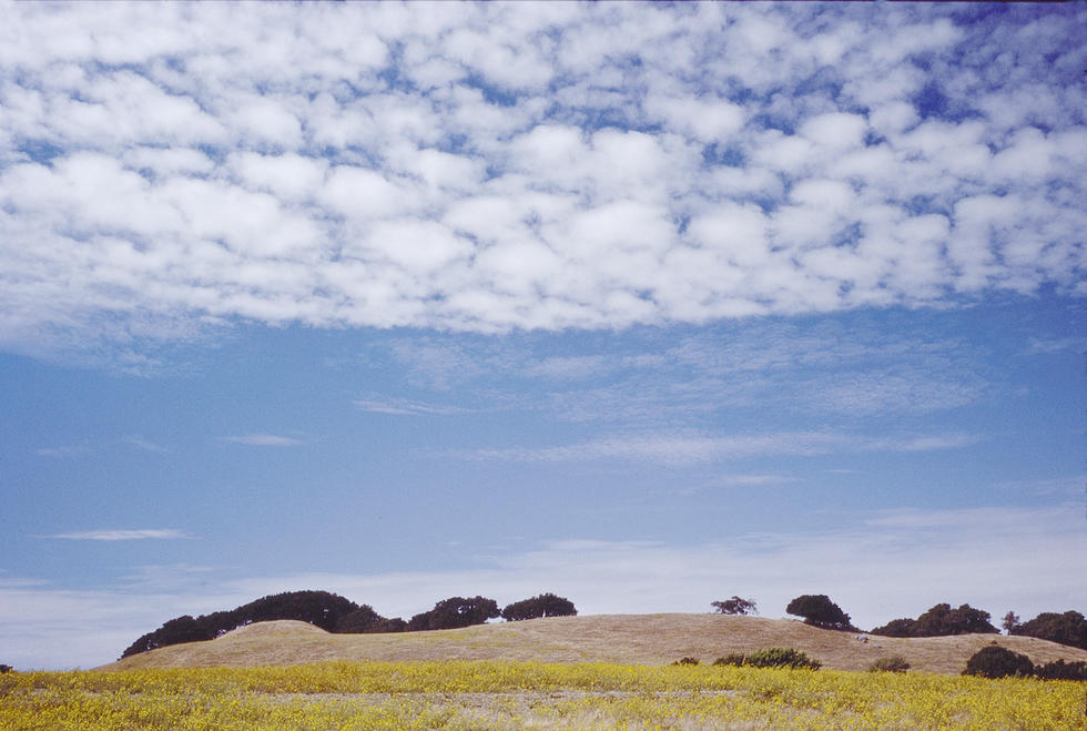 Briones SF
