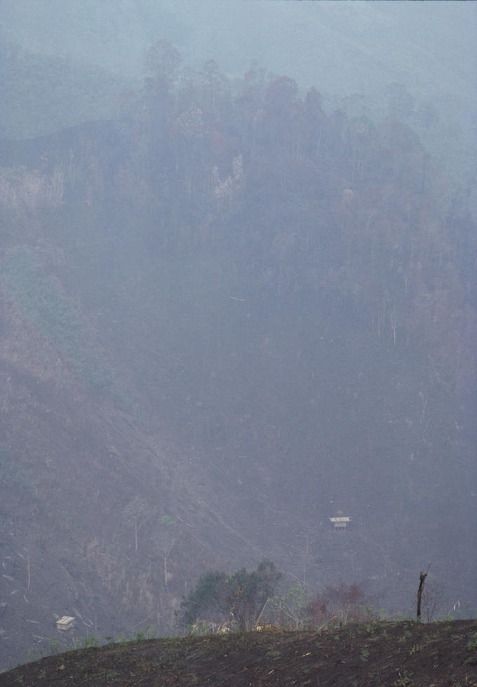 Capitalist Landscape in Borneo