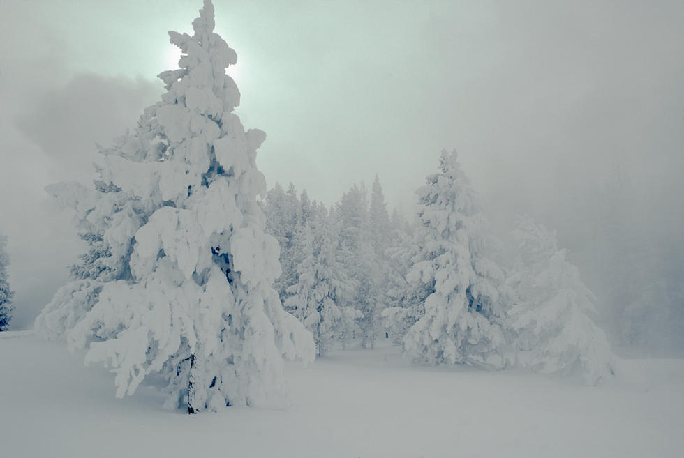 Winter Light
