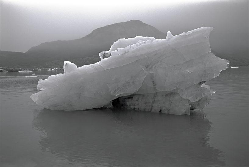 Glacier Bay Sketches 27