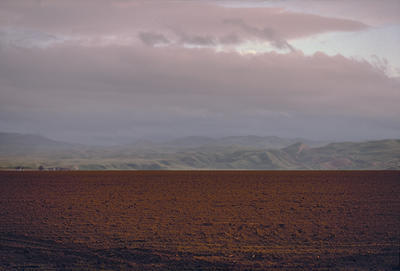 Color Fields, Actual 5