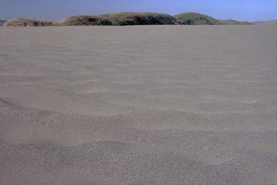 Sand to Sea, Point Reyes