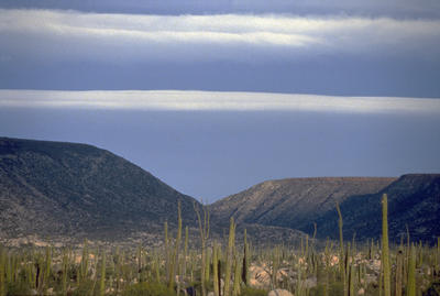 Catavina Mexico