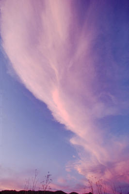 Desert Cloud, Mexico
