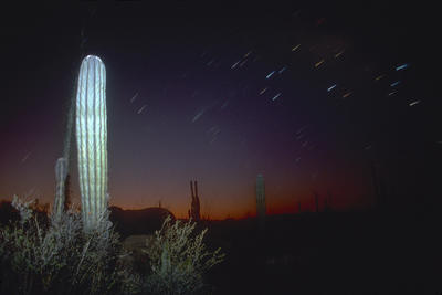 Haley's Comet, Baja
