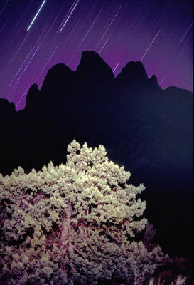 Organ Mountains, New Mexico