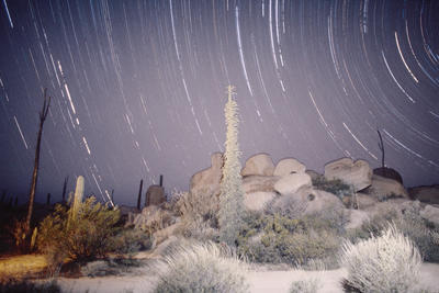 Night Catavina, Mexico
