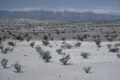 Mexico from Big Bend