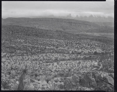 Mexico from Big Bend