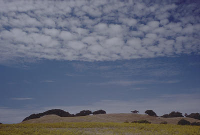 Briones Hills, California