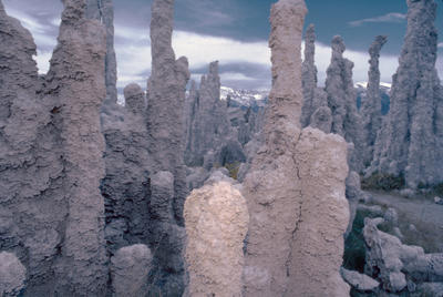 Tufa, Mono Lake California