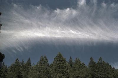 Sky Entanglement