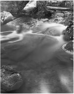 Self Portrait, Big Sur, 1965