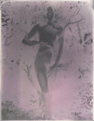 Deconstructing Venus 2