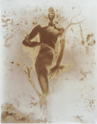 Deconstructing Venus 4