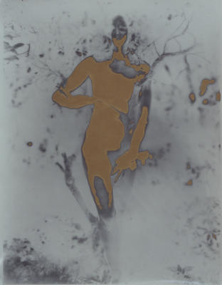 Deconstructing Venus 5