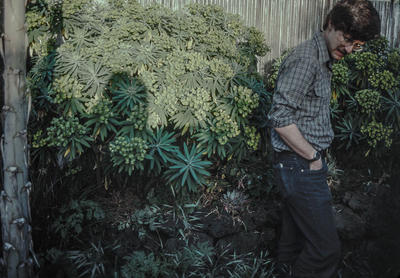 Fred Dortort, Musician and author, Berkeley, 1980
