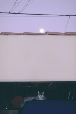 Moonrise LA