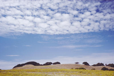 Briones SF