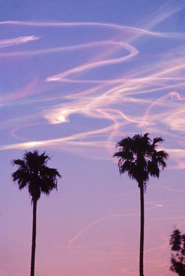 LA Sunset 1