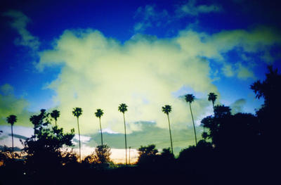LA Sunset 2