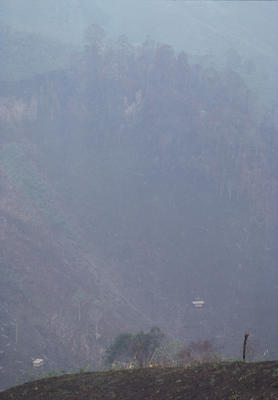 Capitalist Landscape in Borneo