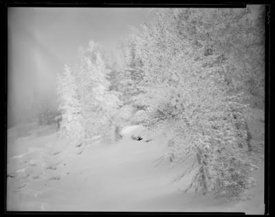 Winter Storm Vortex
