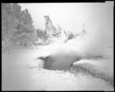 Yellowstone
