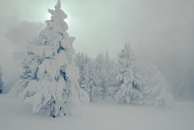 Winter Light
