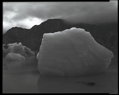 Glacier Bay Platinotypes 05