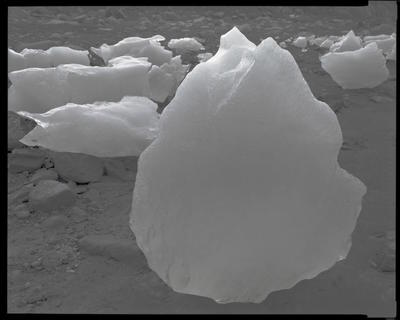 Glacier Bay Platinotypes 08