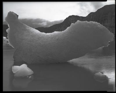 Glacier Bay Platinotypes 09