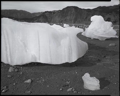Glacier Bay Platinotypes 10