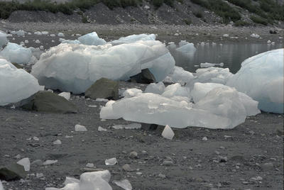 Glacier Bay Color Kodachromes 12