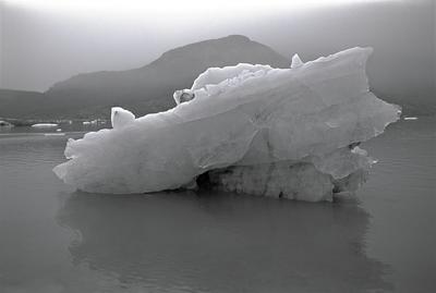Glacier Bay Sketches 27